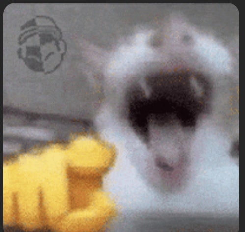 인스타 GIF 짤 이름 : 지식iN
