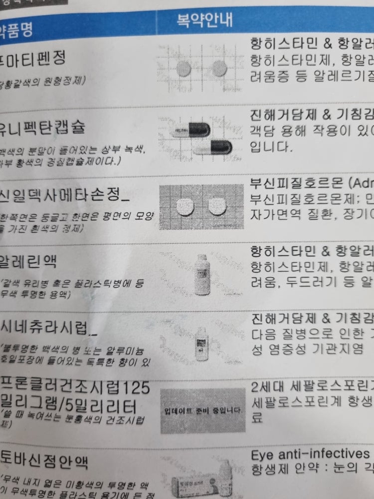 해열제복용 : 지식iN