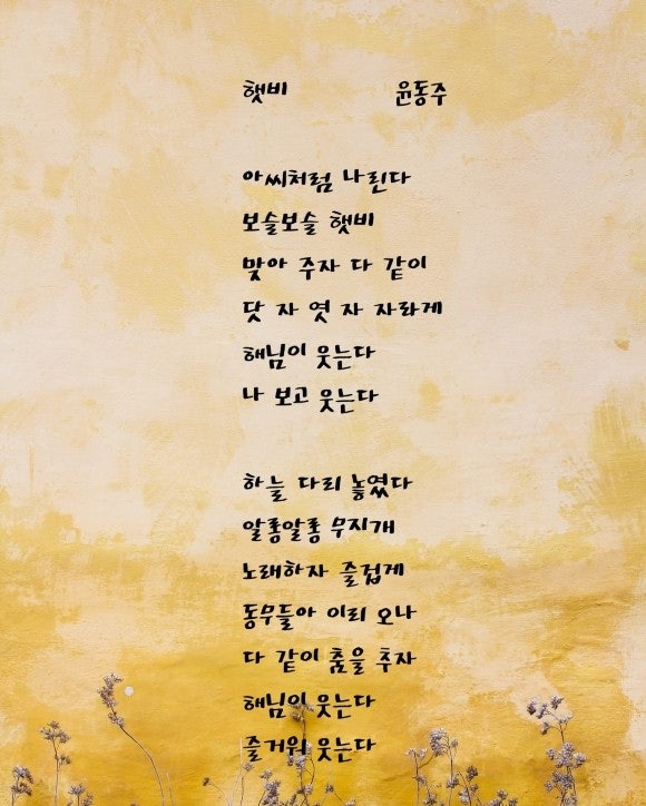 시 행과 연 : 지식iN