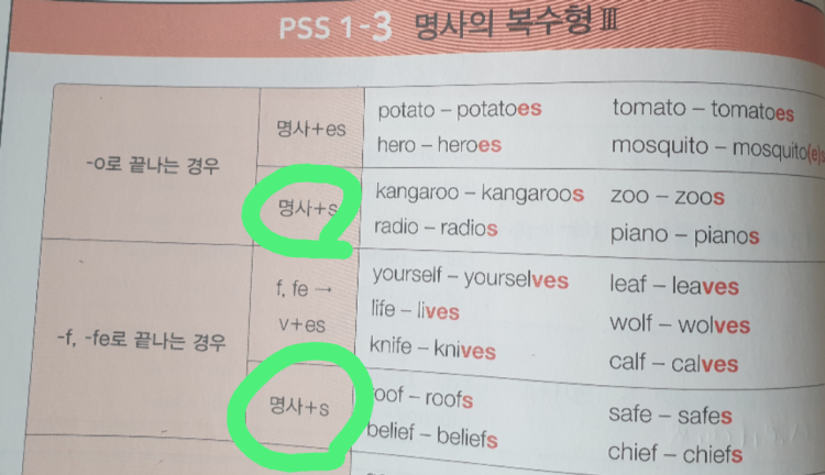 영어 명사의 복수형 : 지식iN