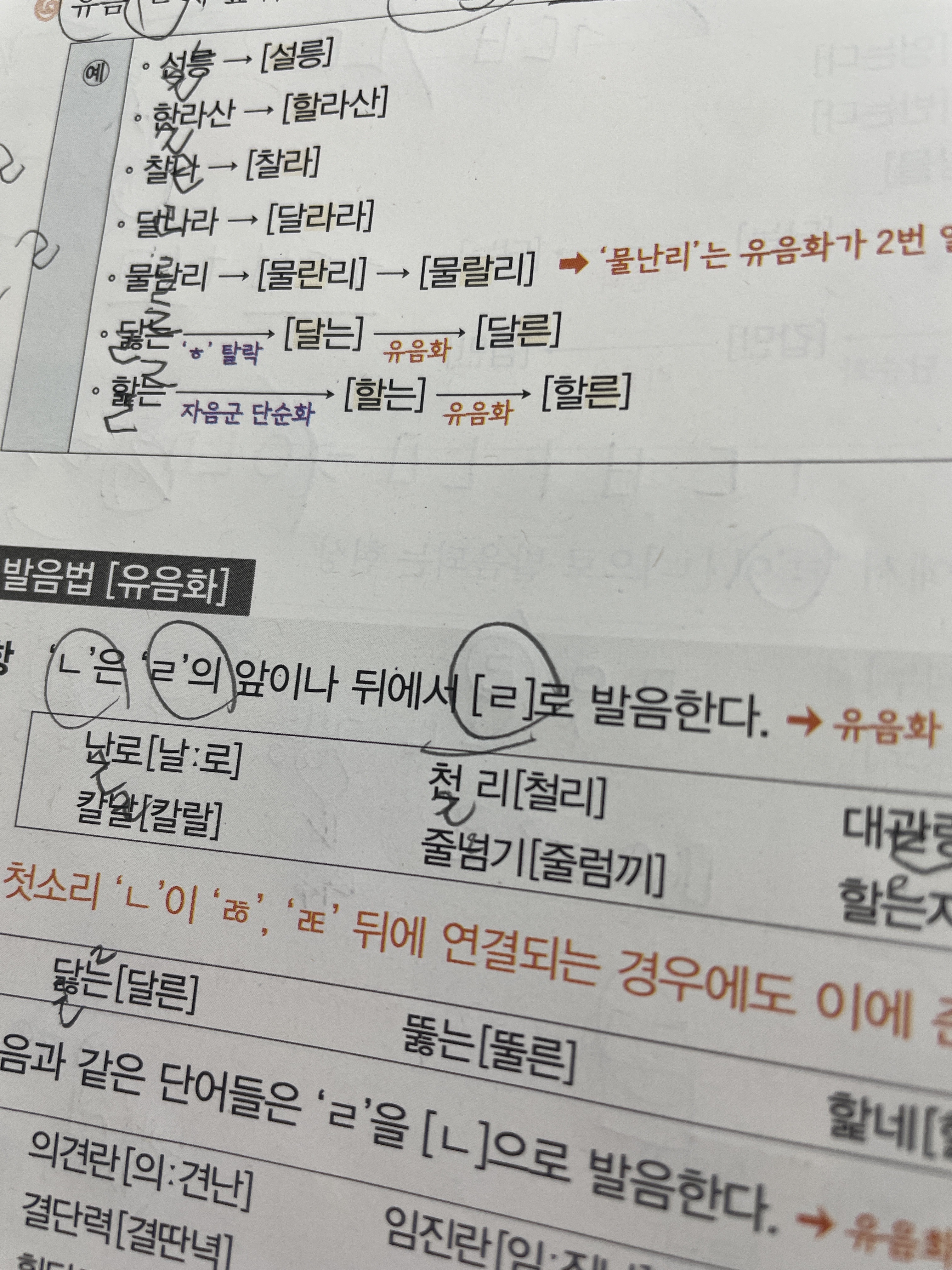 역행적 유음화 (천 리) : 네이버 지식iN