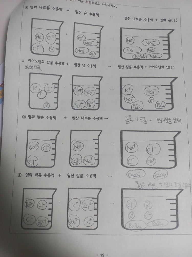 중2 과학 앙금 생성 반응 지식in