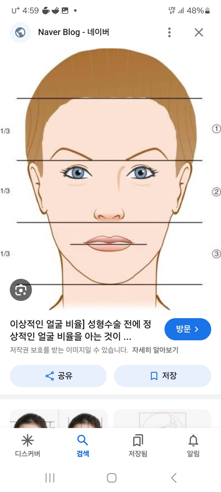 하관얼굴비율 : 지식iN