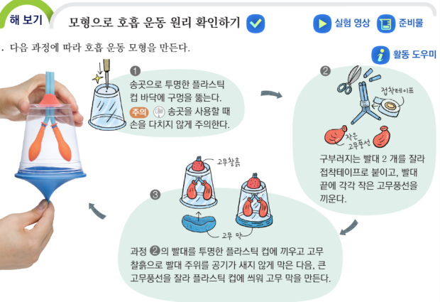 중2 과학 모형으로 호흡 운동 확인하기 : 지식iN
