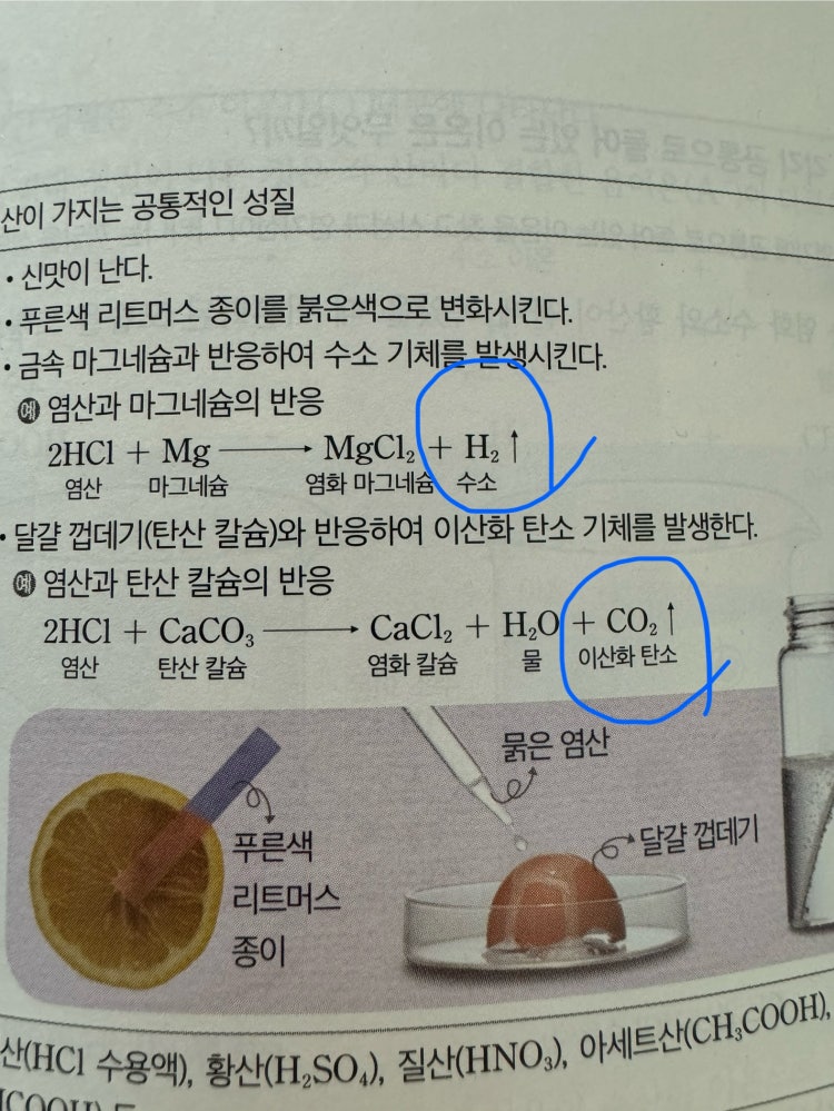 화학 반응식 : 지식iN