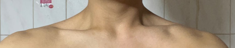 어깨 상견 중견 하견 : 지식iN