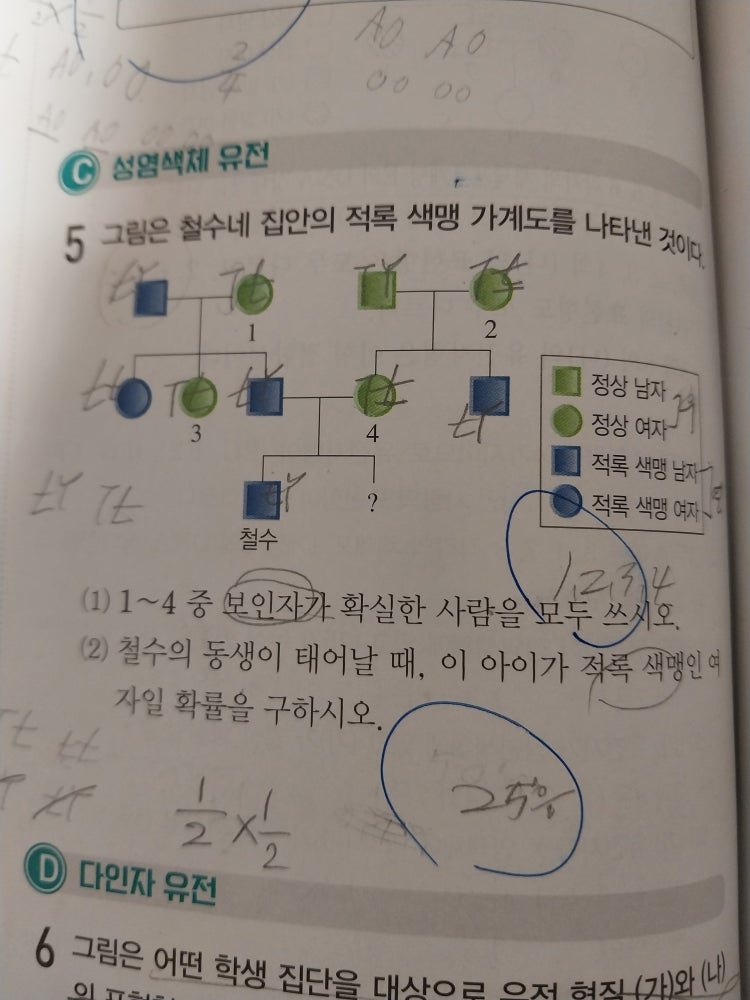 생명과학1 유전 가계도 : 지식iN