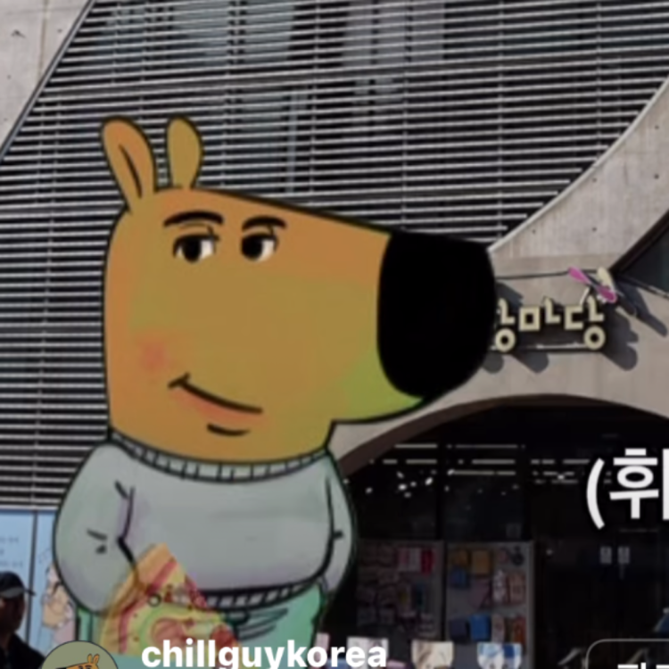 인스타 틱톡 chill guy 밈 : 지식iN