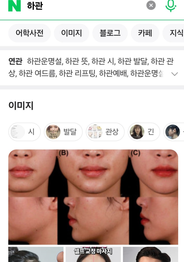 하관 하관 : 지식iN