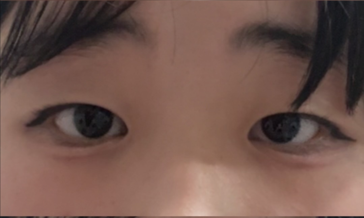 양지뢰 눈화장 : 지식iN