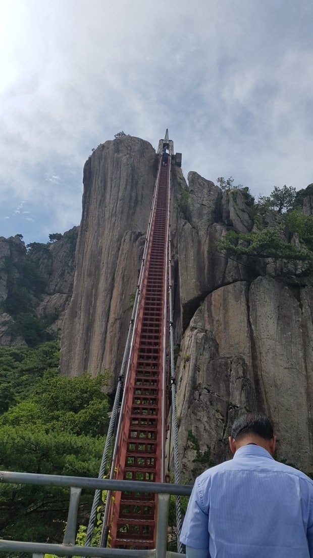 여기는 어디인가요? : 지식iN