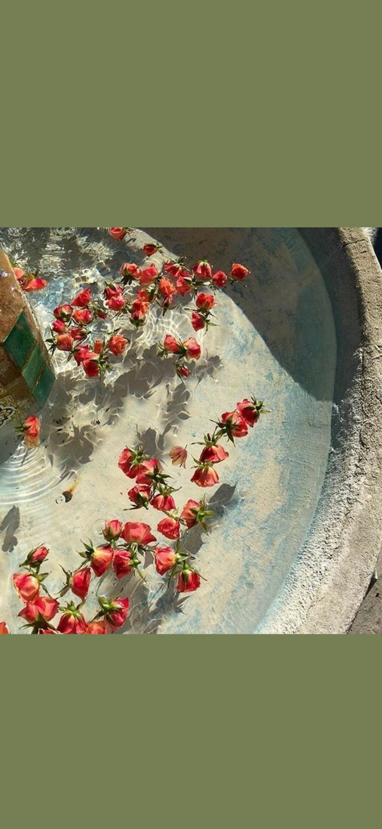 배경화면 사이즈