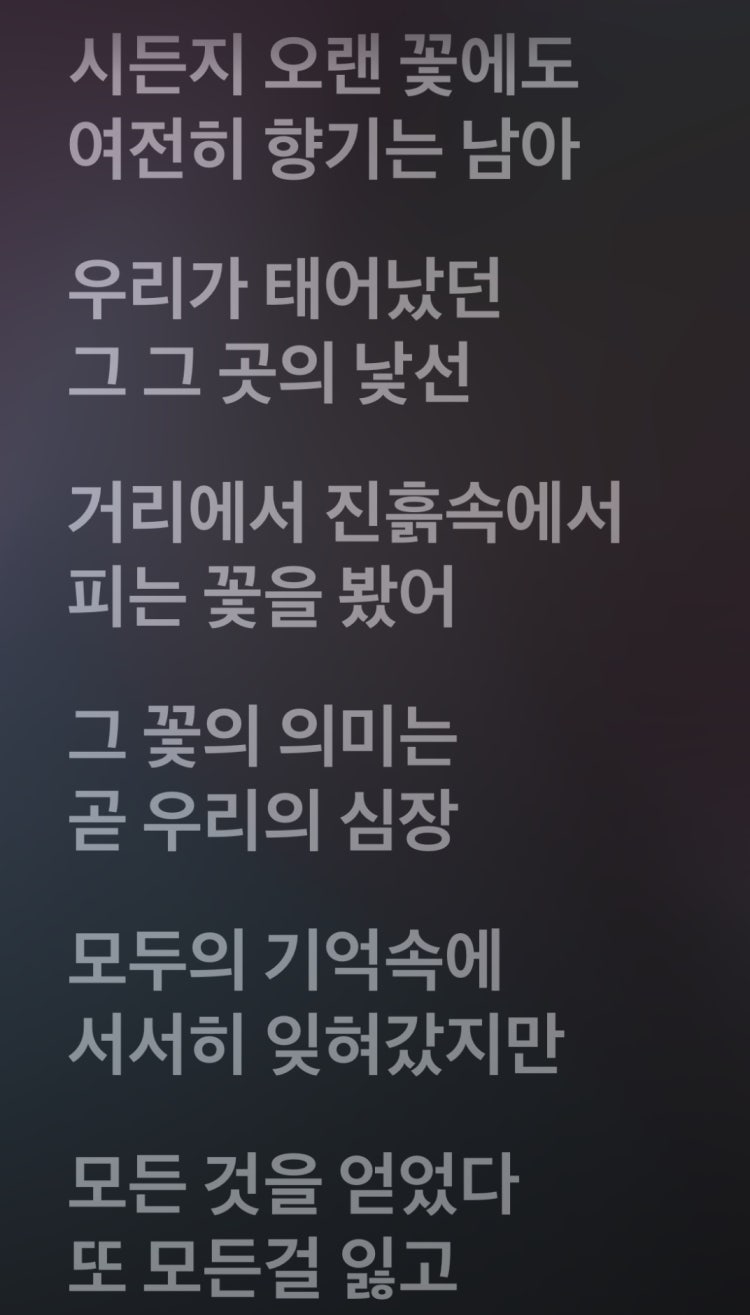 이 노래 가사 음운변동 좀 찾아주세요 ㅜㅜ : 지식iN