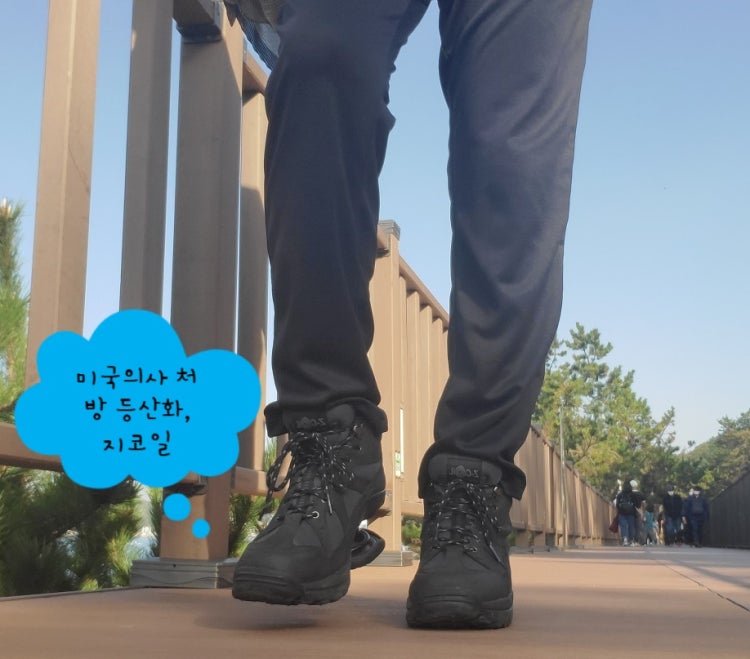 추간판 탈출증 증상 질문