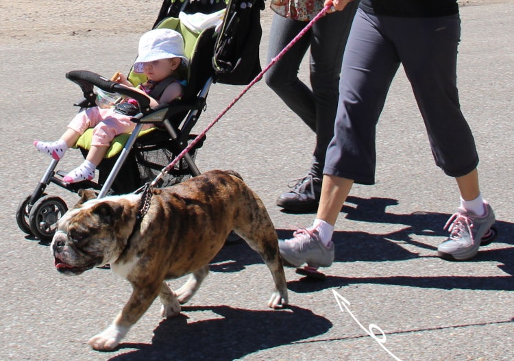 무릎 관절염 초기 의심