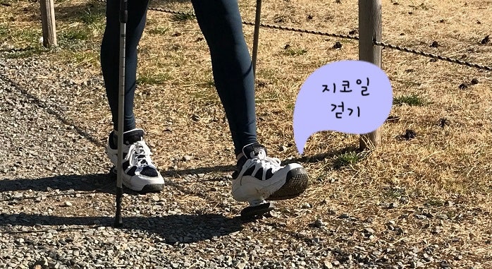 혈압약 끊을 수 있을까요?